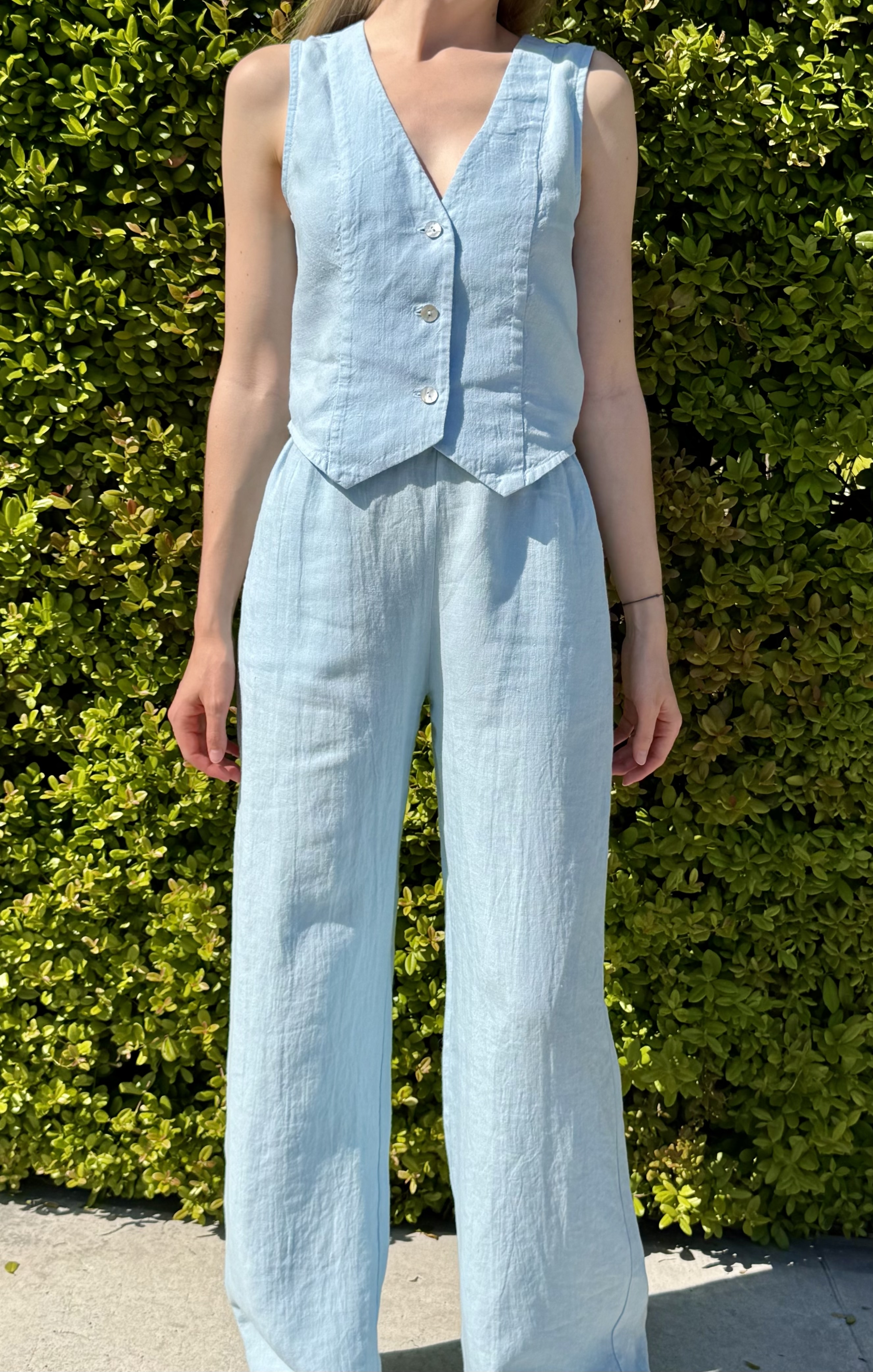 Full silhouette against a green hedge